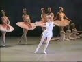 Don Quixote, Cupid