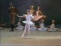 Don Quixote, Cupid