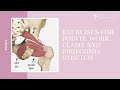 Exercises For Pointe Work - 3 - Clams And Piriformis Stretch