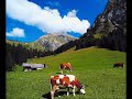 Suisse yodle chanson 3