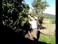 o picon,fornelos,abuelo,carlino