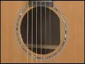 Breedlove Pro Series