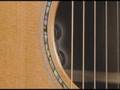 Breedlove Pro Series