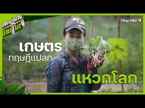 เรียม เกษตรทฤษฎีแปลกแหวกโลก : มหาอำนาจบ้านนา