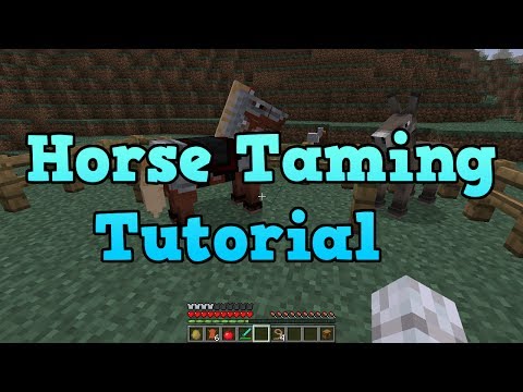 how to control horses in minecraft