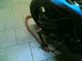 Yamaha R6 da pista prova Scariko! Yamaha R6 da pista prova Scariko!