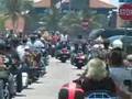 Vampire Biker Babes The Movie clip 4n 