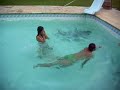 dog-paddle-style-competition.html
