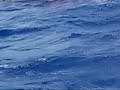 molokai channel race