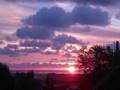 Gratitude-Nichole-No