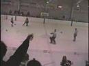 Lambton Shores Brawl