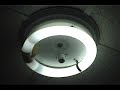Trailer El Testigo Silencioso