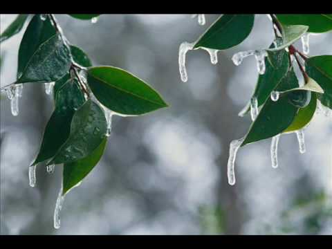 amid - Enya's Amid the falling Snow with relaxing winter scenes lyrics: How I remember sleepless nights When we would read by candlelight, And on the windowpane out...