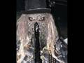 Kalma and Lordi