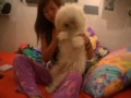 our doggy dancing