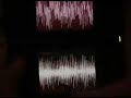 Protein DS Scratch