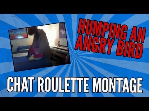 Chat (bird) - Tom and Ozzy got bored and decided to have some fun on Chat Roulette... we do some of our own pranks and reenact some other popular things from Youtube such ...