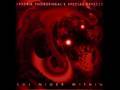 Special Defects by Fredrik (Meshuggah) and Morgan (Mats/Morgan)