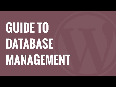 how to export wordpress database