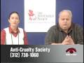 ACS on CAN-TV: Spotlight on CASA - The Chicago Animal Shelter Alliance, Part One