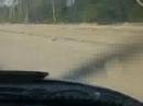 landing on Sampadi beach,Kuching