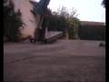 Noseslide