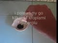 Ogień bez zapałek Ogień bez zapałek