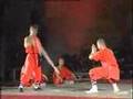 LES MAITRES DE SHAOLIN