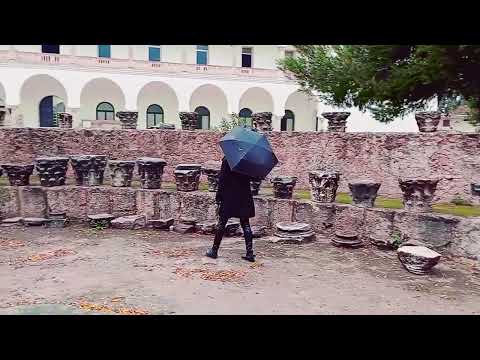 'Carthage' avec Nicole Coppey