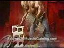 muscle training weight lifting muscle training weight lifting