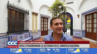 FEDERICO PELLI DIPUTADO NACIONAL