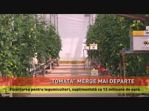 Programul ”Tomata”, finanțat suplimentar cu 12 milioane de euro