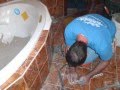 videos de alex.wmv