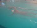 videos de triatlon YMCA Temuco Cristian Davis