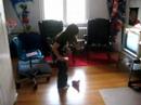Nintendo Wii