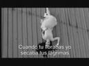 my immortal- evanescence my immortal- evanescence