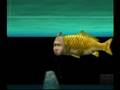 Seaman-That-Video