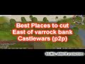 Runescape 1-99 woodcutting guide p2p with ivy