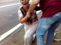 Woman goes insane during traffic stop - cops, crazy, idiot, insane, police, screaming, traffic stop, woman, wtf