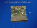 Fishing Show: Trout fishing techniques - Angler\