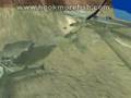 Fishing Show: Trout fishing techniques - Angler's View