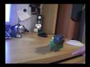Pondus sine første triks Pondus sine første triks