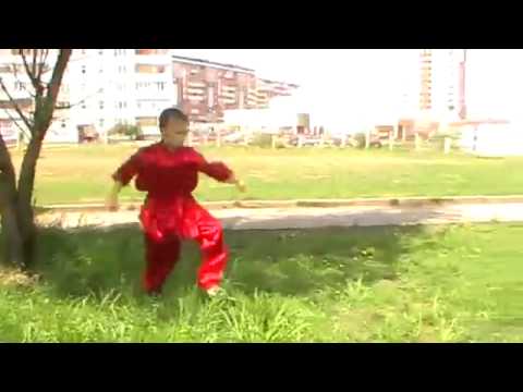 Future Kung Fu Master