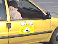 autoskola autoskola
