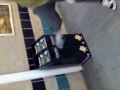 Katt stamp.MP4