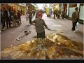 Julian Beever Chalk Drawings