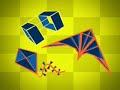 Barn Door Kite