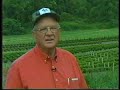 Boxwood Nursery