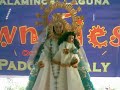 Viva La Virgen Maria - Andrew 21