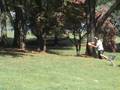 2008 USDGC Disc Golf - 001